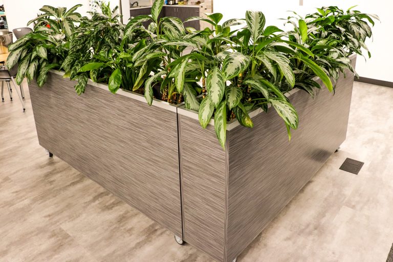 Candela_Construction_Coeur_d_Alene_Idaho_Design_Build_Medical_Education_Government_Healthcare_Restaurant_Our_Work_57