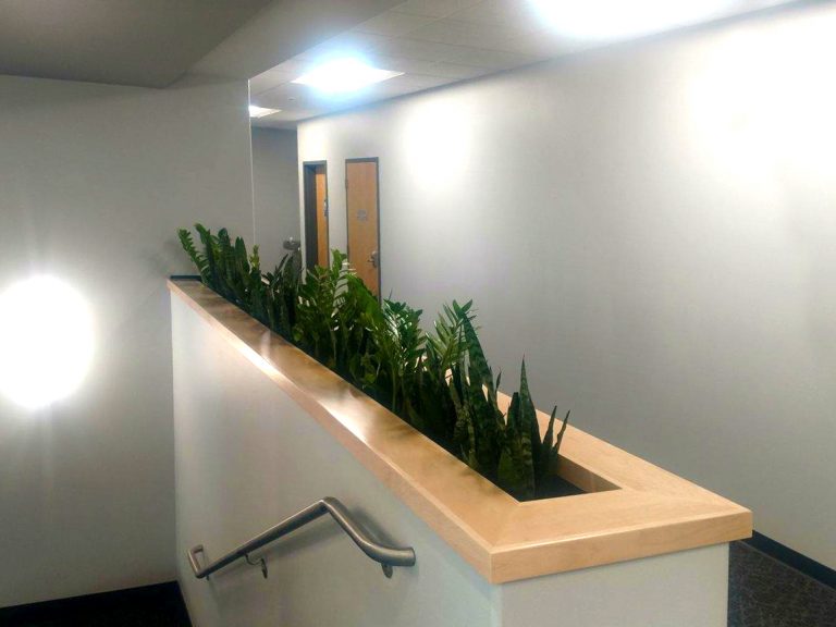 Candela_Construction_Coeur_d_Alene_Idaho_Design_Build_Medical_Education_Government_Healthcare_Restaurant_Our_Work_67
